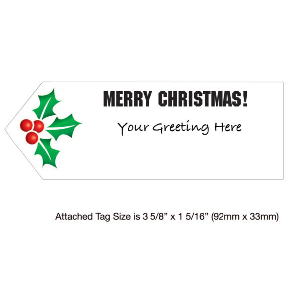 Sentiment Tag - Santa Airplane - Holiday Greeting